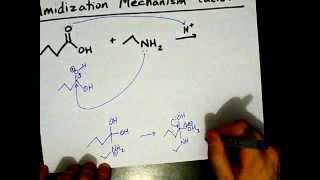 How to Make Amides Mechanism [upl. by Eanehs]