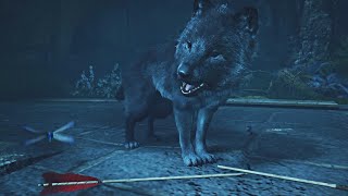 Assassin’s Creed Valhalla  Loki’s Son Fenrir Attacks Odin  First Wolf Boss Fight [upl. by Graaf]