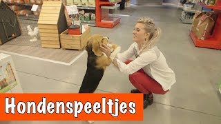 Hondenspeeltjes testen  DierenpraatTV [upl. by Hgeilyak459]