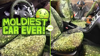 Deep Cleaning the MOLDIEST BIOHAZARD CAR EVER  Satisfying DISASTER Car Detailing Transformation [upl. by Leonelle]