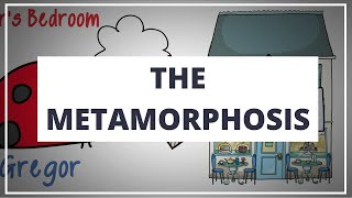 THE METAMORPHOSIS BY FRANZ KAFKA  ANIMATED SUMMARY [upl. by Arihsak]