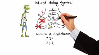 Pharmacology  ADRENERGIC RECEPTORS amp AGONISTS MADE EASY [upl. by Dulcia]