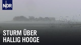 Land unter auf Hallig Hooge  die nordstory  NDR Doku [upl. by Juliano444]