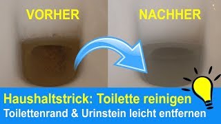 Toilette reinigen Toilettenränder amp Urinstein beseitigen  Kalkflecken entfernen [upl. by Ahtabat635]