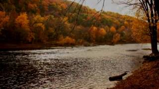 SHENANDOAHTraditional American Folk Song Performed by Tom Roush [upl. by Biddie449]