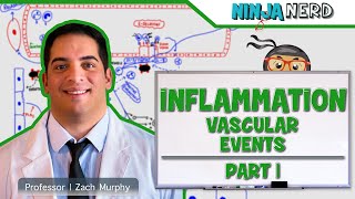 Immunology  Inflammation Vascular Events Part 1 [upl. by Grey]