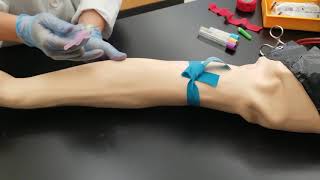 What To Expect from Phlebotomy Training [upl. by Akaya205]