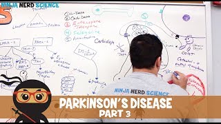 Understanding Parkinsons disease [upl. by Giulietta]