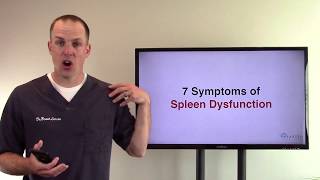 7 Symptoms of Spleen Dysfunction [upl. by Ostraw998]