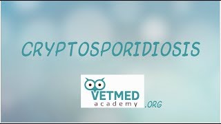 Cryptosporidiosis [upl. by Perzan436]