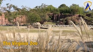 Tour of the Virginia Zoo in Norfolk [upl. by Rycca]