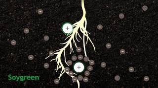 How Chelation Works In Agriculture [upl. by Einwahr]