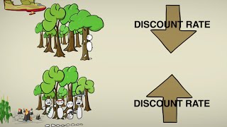 CostBenefit Discounting [upl. by Lucia]