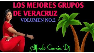 LOS GRANDES DEL SURESTE VERACRUZANO VOL2  VARIOS GRUPOS [upl. by Anoyet]