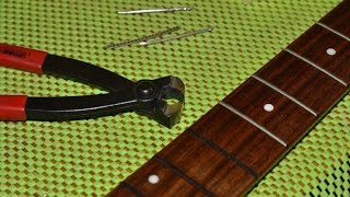 Fretless bass conversion [upl. by Gilburt]