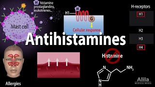 Histamine and Antihistamines Pharmacology Animation [upl. by Anoved]