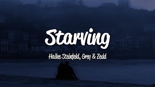 Hailee Steinfeld  Starving Lyrics ft Grey Zedd [upl. by Bomke175]