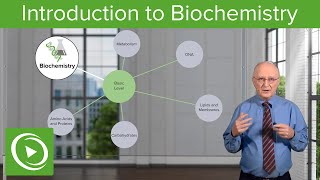 Introduction to Biochemistry – Biochemistry  Lecturio [upl. by Jarrow]