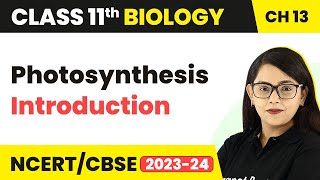 Class 11 Chapter 13  Photosynthesis Introduction  Photosynthesis in Higher Plants [upl. by Yelroc]