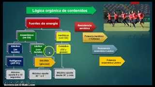 Planificación en fútbol Microciclo autoestructurado [upl. by Rawdon737]