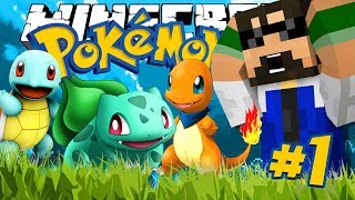 WE MADE A NEW GAME NO MODS to DOWNLOAD Minecraft Pokemon [upl. by Grochow416]