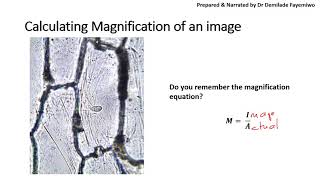 Chapter 12 Measuring Cells in Microscopy [upl. by Ylrebmik]