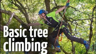 Simple amp safe tree climbing ascent technique [upl. by Annecorinne180]