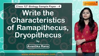 Q14 Write the characteristics of Ramapithecus Dryopithecus CBSE Class 12 Biology [upl. by Benge]