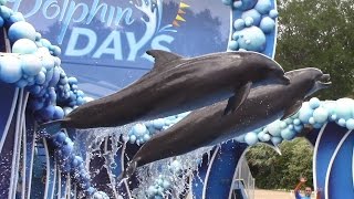 Dolphin Days Full Show  SeaWorld Orlando  May 19 2017 [upl. by Nolrev]