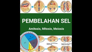 PEMBELAHAN SEL  Amitosis Mitosis Meiosis [upl. by Ingold566]