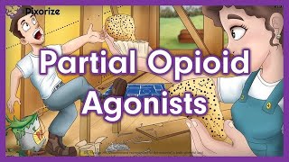 Partial Opioid Agonists Mnemonic for USMLE [upl. by Nnewg]