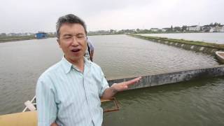 AN AQUACULTURAL REVOLUTION IN CHINA [upl. by Adanama]