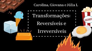 Vídeo Aula didática Transformações reversíveis e irreversíveis [upl. by Anelagna]