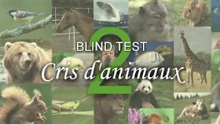 BLIND TEST  Cris danimaux n°2 [upl. by Eniamaj]