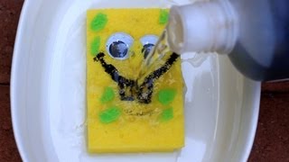 Sulfuric Acid vs Sponge  Chemical Reaction [upl. by Holna]