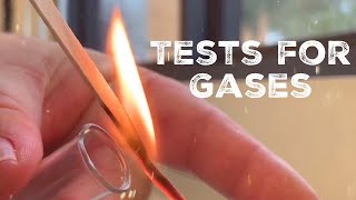 GCSE Science Chemistry 91  Tests for Gases [upl. by Finstad]