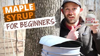 How To Make Maple Syrup Small Batch Syrup For Beginners [upl. by Hoehne]