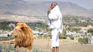 Halefom Beranto  Anbesa Bereka Official Video Ethiopian Tigrigna Music [upl. by Nayd]