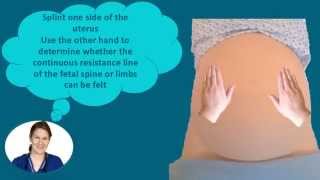 Abdominal Palpation Tutorial for Student Midwives [upl. by Ainud757]