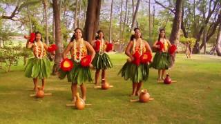 Beautiful Hula  Polynesian Dancers [upl. by Suzan522]