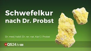 Schwefelkur nach Dr Probst Update 2020  NaturMEDIZIN  QS24 Gesundheitsfernsehen [upl. by Eylsel188]