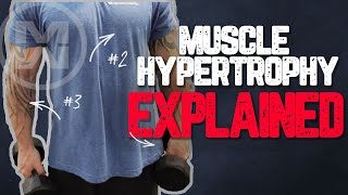 Muscle Hypertrophy Explained How to get MASSIVE Gains [upl. by Steffy371]