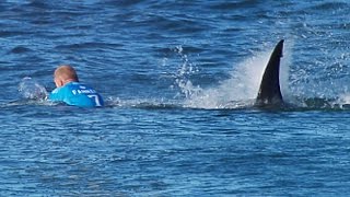 Surfer Fights Off Shark Attack On Live TV During Competition [upl. by Aseuqram201]