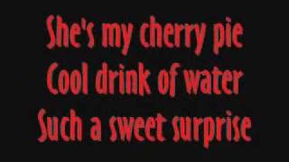 Warrant  Cherry Pie with lyrics [upl. by Boehmer821]