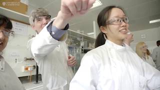 Why study chemical engineering at Cambridge [upl. by Gillmore]