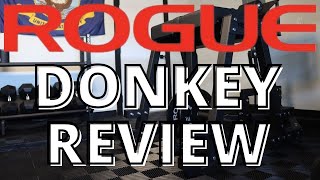 ROGUE DONKEY REVIEW  7 Ways to Use It  Angelique Clark [upl. by Acinhoj]