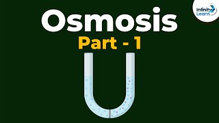 What is Osmosis  Part 1  Cell  Infinity Learn [upl. by Ellemrac]