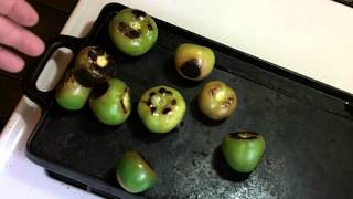 How to make Fresh Homemade Tomatillo Salsa [upl. by Aldarcy365]