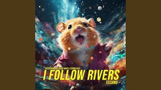 I Follow Rivers Techno [upl. by Notled]