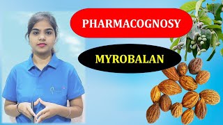 Myrobalan  Astringent Plant Chapter5  D Pharm ER2013T [upl. by Lig233]